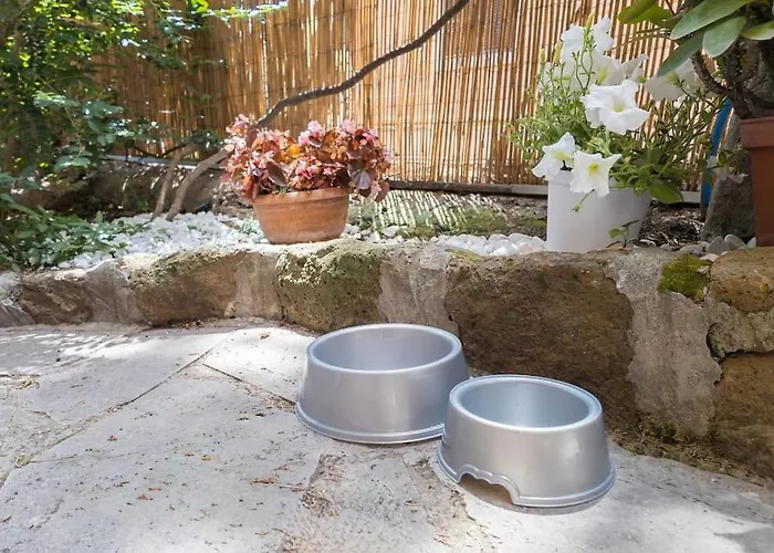 דירה Poerio Home&garden Near The Centre Of *